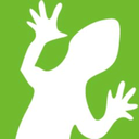 Lizard logo